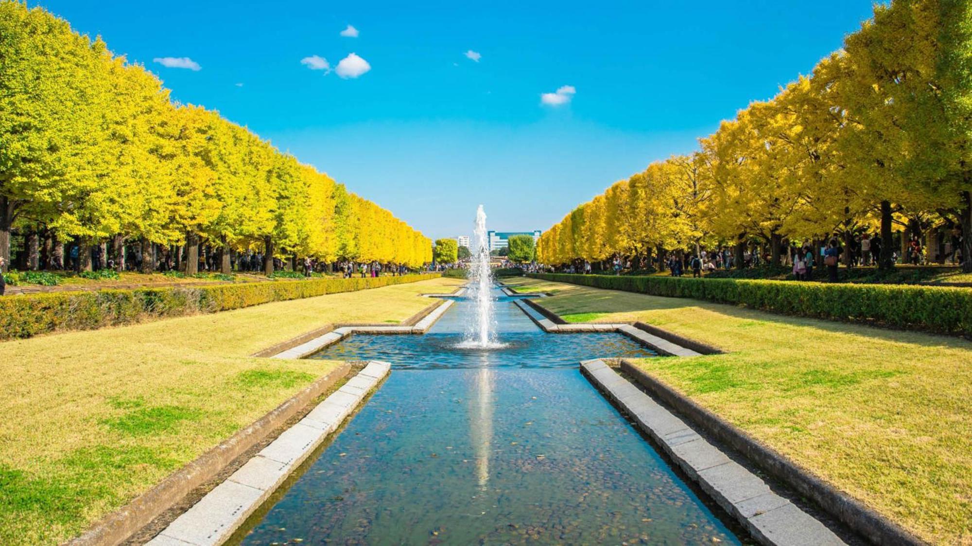 Toyoko Tokyo Eki Kita Guchi Hotel 3*